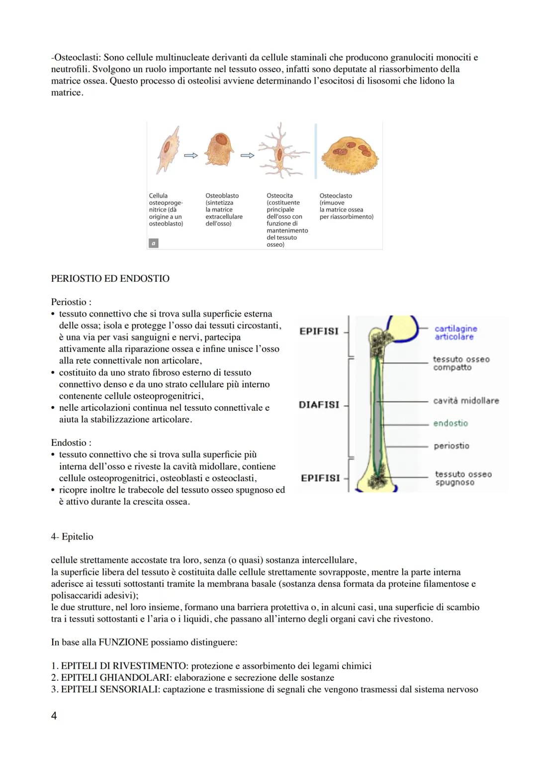 ANATOMIA E FISIOLOGIA UMANA
1 # 1-ISTOLOGIA
I livelli di organizzazione
1. Cellula: unità strutturale e funzionale di base dell'organismo