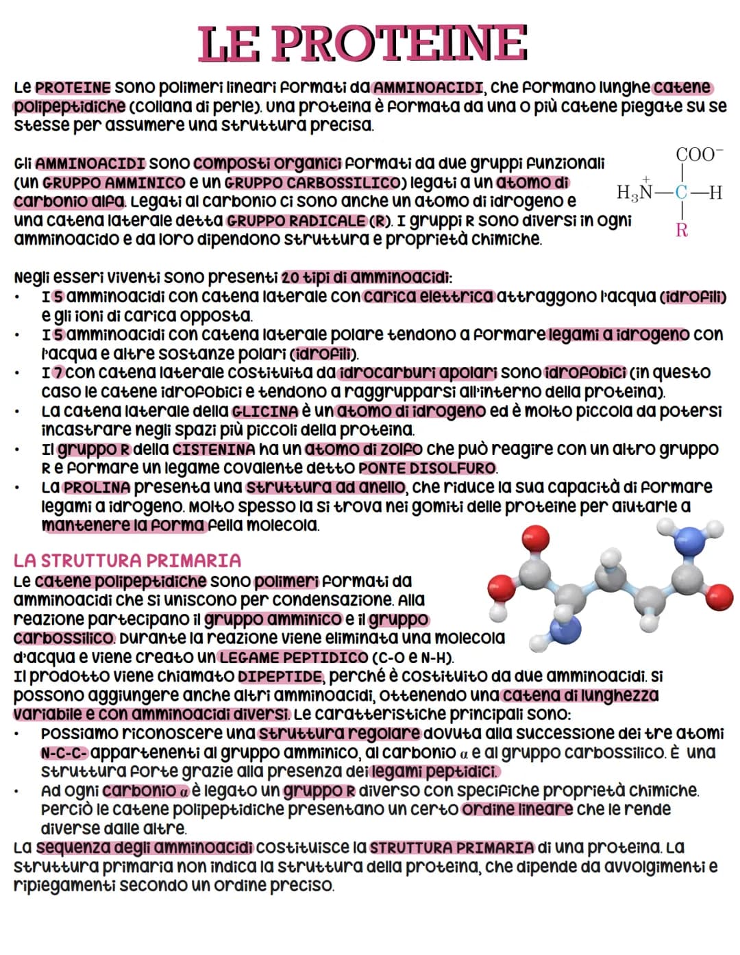 # LE PROTEINE
LE PROTEINE SONO polimeri lineari formati da AMMINOACIDI, che formano lunghe catene
polipeptidiche (collana di perie). una pr