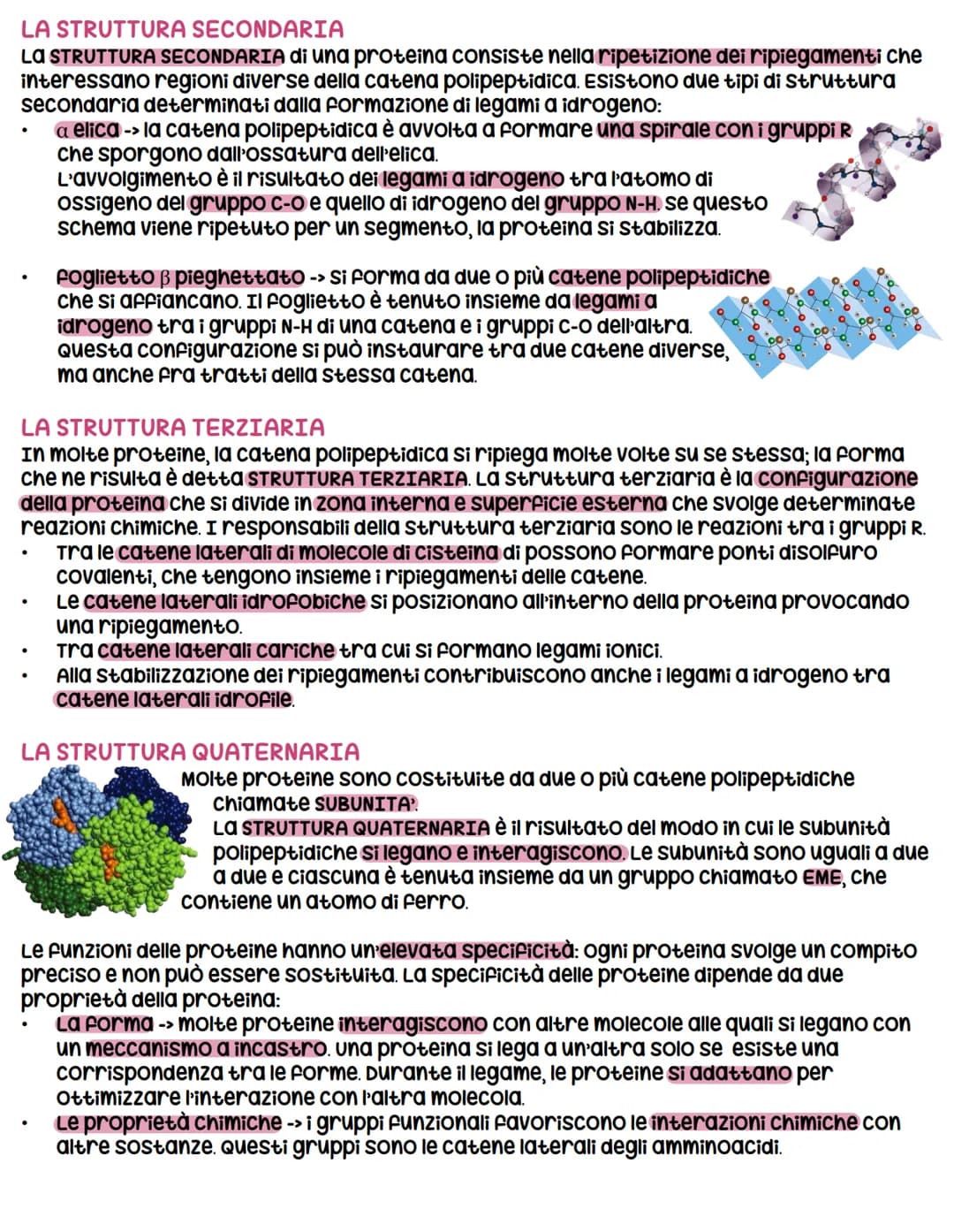 # LE PROTEINE
LE PROTEINE SONO polimeri lineari formati da AMMINOACIDI, che formano lunghe catene
polipeptidiche (collana di perie). una pr
