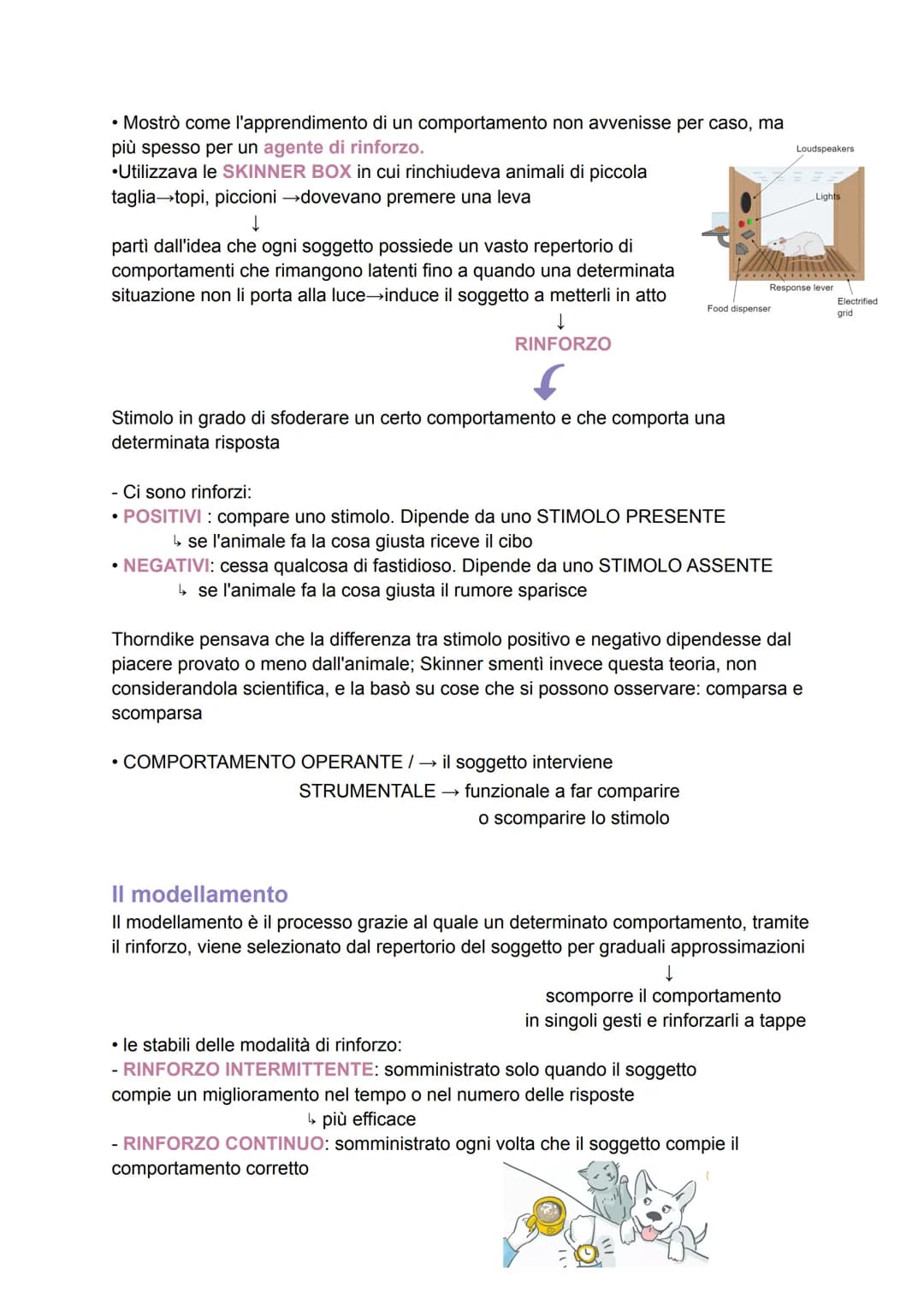 L'apprendimento
L'apprendimento venne studiato per la prima volta dai comportamentisti, in termini di
stimoli e risposte.
Si parla di appr