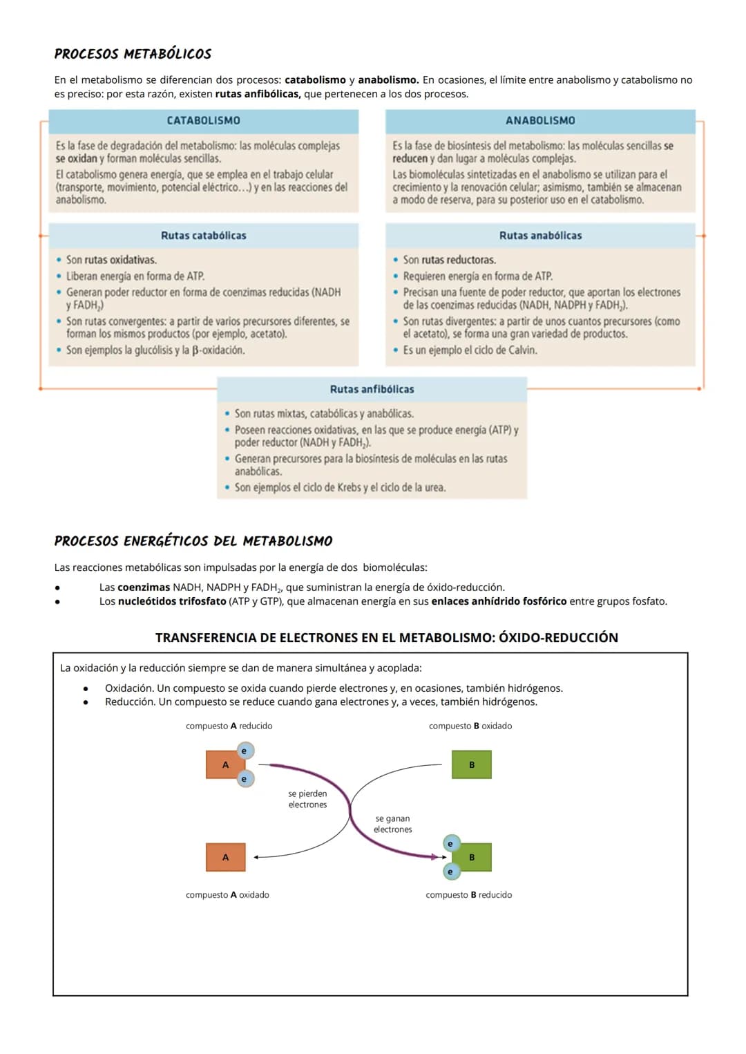 # TEMA 8: Metabolismo: catabolismo
# 1 NUTRICIÓN CELULAR Y METABOLISMO
La nutrición celular es el proceso global de intercambio y transform