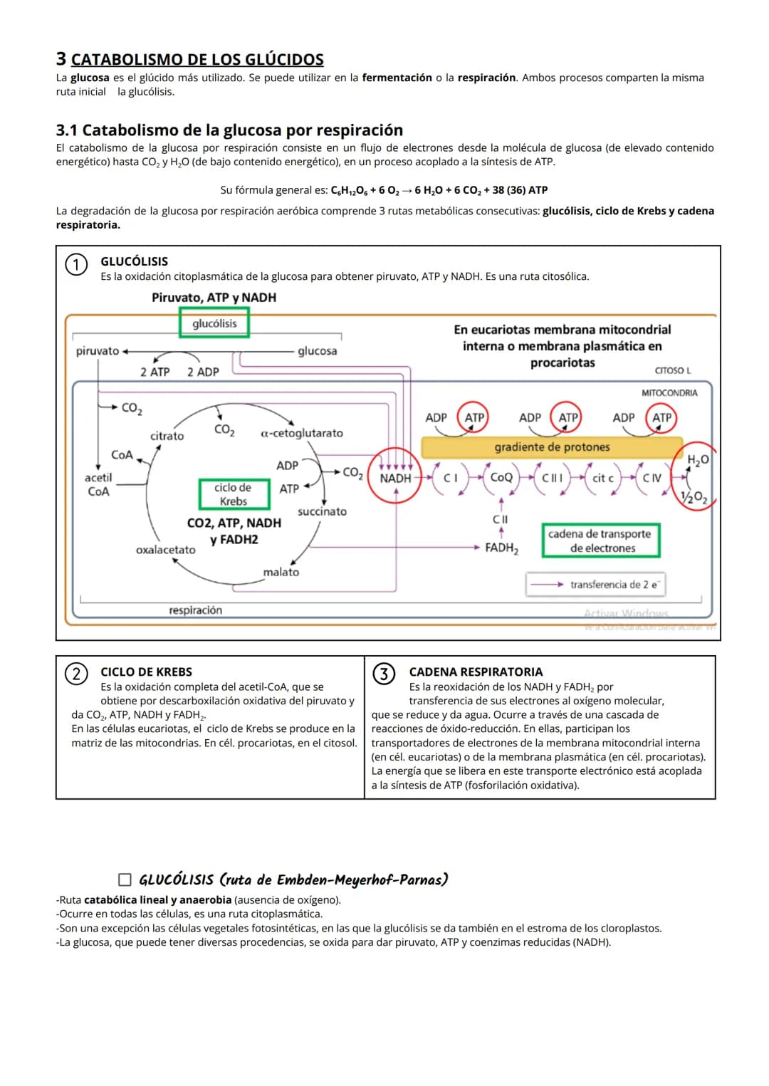 # TEMA 8: Metabolismo: catabolismo
# 1 NUTRICIÓN CELULAR Y METABOLISMO
La nutrición celular es el proceso global de intercambio y transform