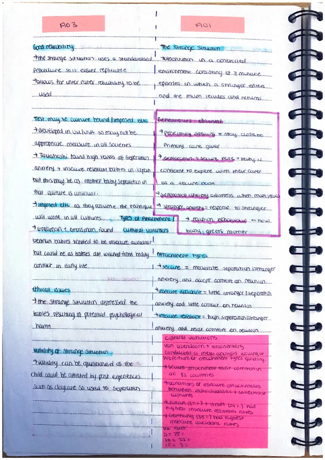 A03
Supporting evidence
-melt zott and more found lotanes
-(2-3 weeus old) municachilles FOCICU.
expressions. libcurel movesnents.
-shows i