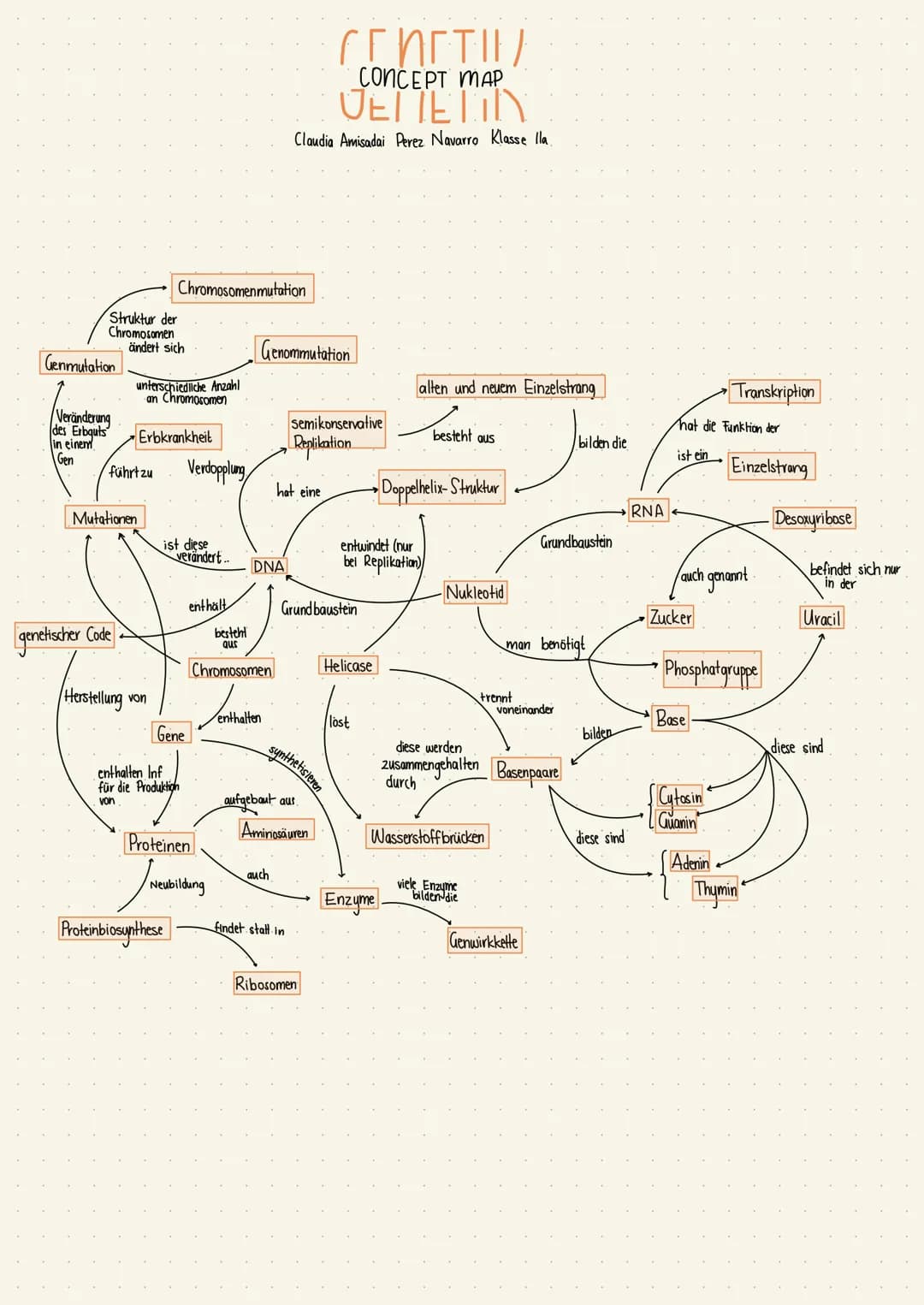 # CONCEPT MAP
JETTETIN
Claudia Amisadai Perez Navarro Klasse lla
Chromosomenmutation
Struktur der
Chromosomen
ändert sich
Genommutation