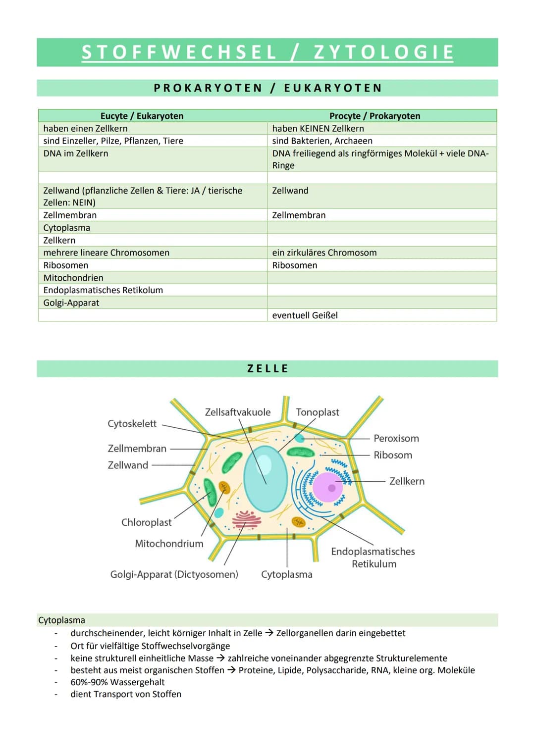 # STOFFWECHSEL / ZYTOLOGIE
PROKARYOTEN / EUKARYOTEN
| Eucyte / Eukaryoten | Procyte / Prokaryoten