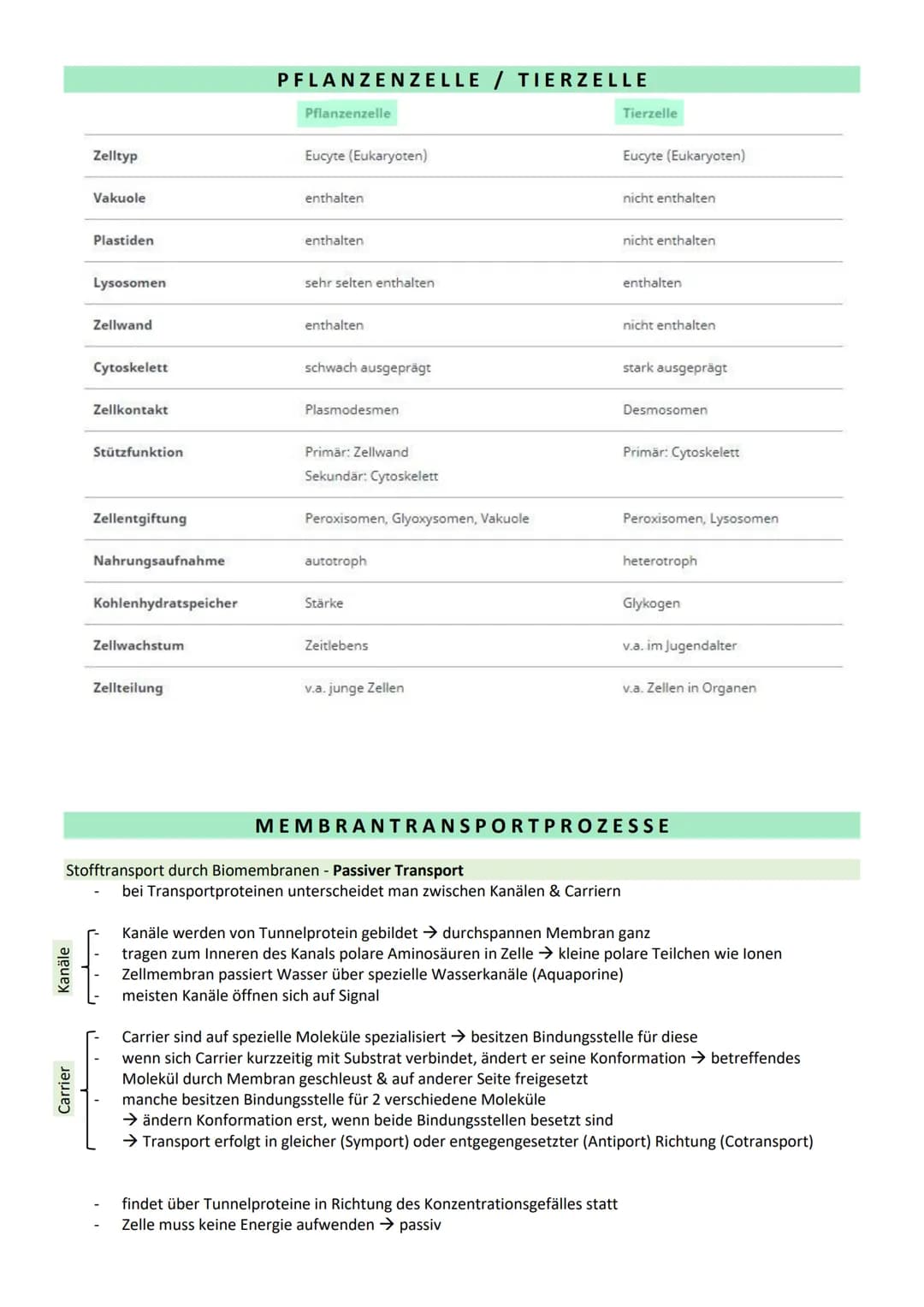 # STOFFWECHSEL / ZYTOLOGIE
PROKARYOTEN / EUKARYOTEN
| Eucyte / Eukaryoten | Procyte / Prokaryoten