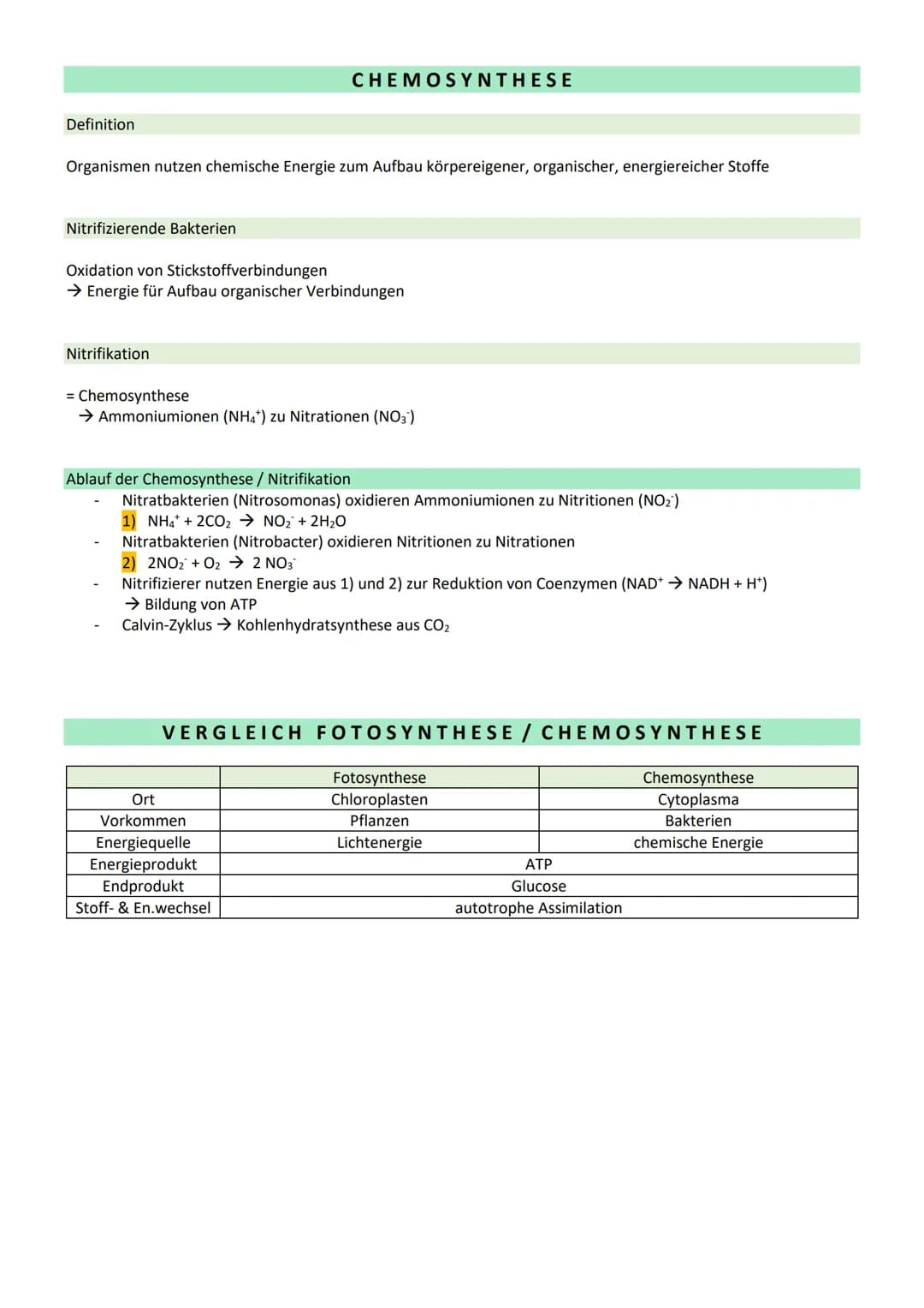 # STOFFWECHSEL / ZYTOLOGIE
PROKARYOTEN / EUKARYOTEN
| Eucyte / Eukaryoten | Procyte / Prokaryoten